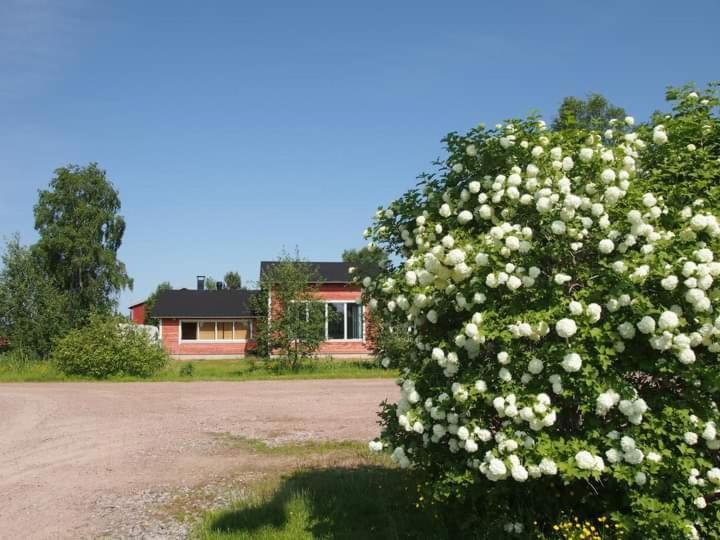 B&B Villa Helmi Ala-Temmes ภายนอก รูปภาพ
